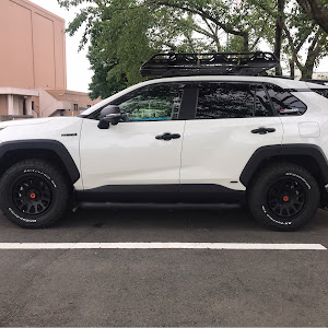 RAV4 AXAH54