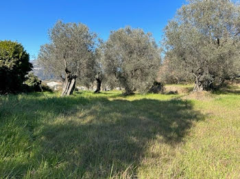 terrain à Saint-Martin-du-Var (06)