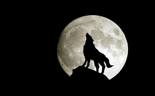 Moon Wolf Live Wallpaper