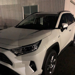 RAV4 AXAH54