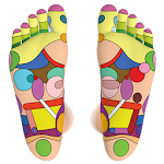 Cover Image of Baixar Foot Reflexology Chart 1.0 APK