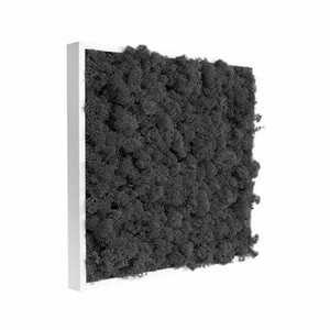 Tableau Lichen végétal noir