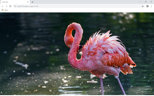 Flamingo Wallpapers and New Tab