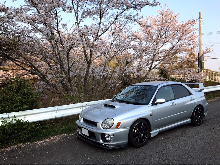 インプレッサ WRXの桜と愛車・桜・ドライブに関するカスタム事例の投稿画像2枚目