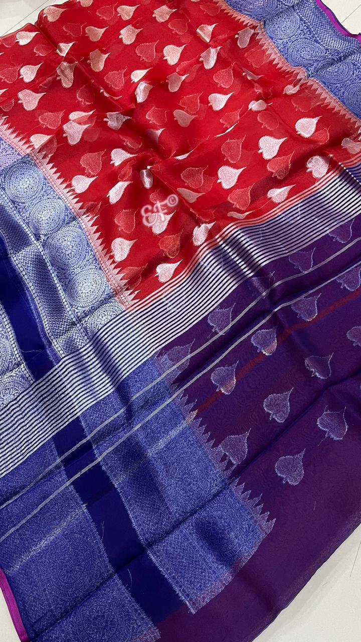 Attractive Designs Of Kanchi Organza Sarees