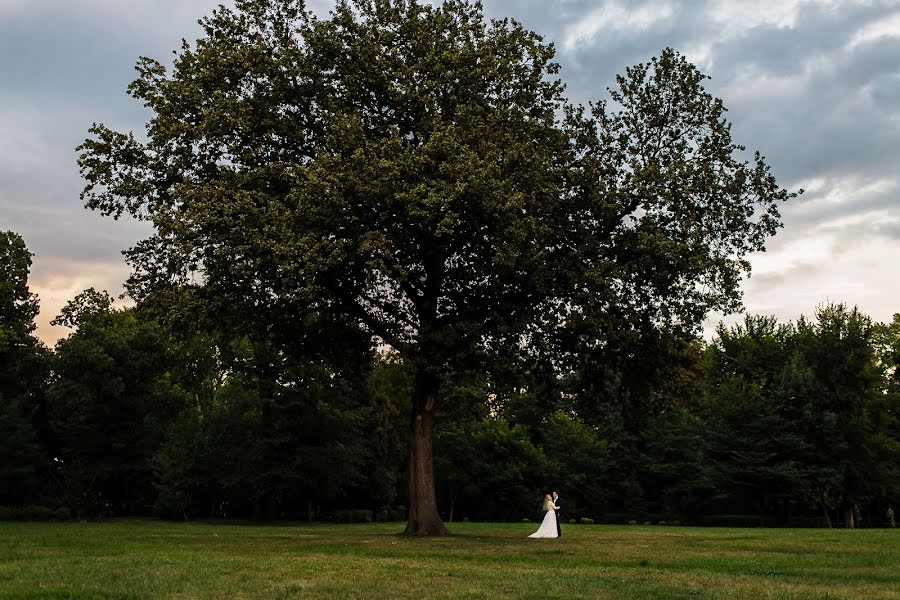 Wedding photographer Andy Casota (casotaandy). Photo of 14 November 2018