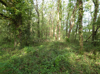 terrain à Bourcefranc-le-Chapus (17)