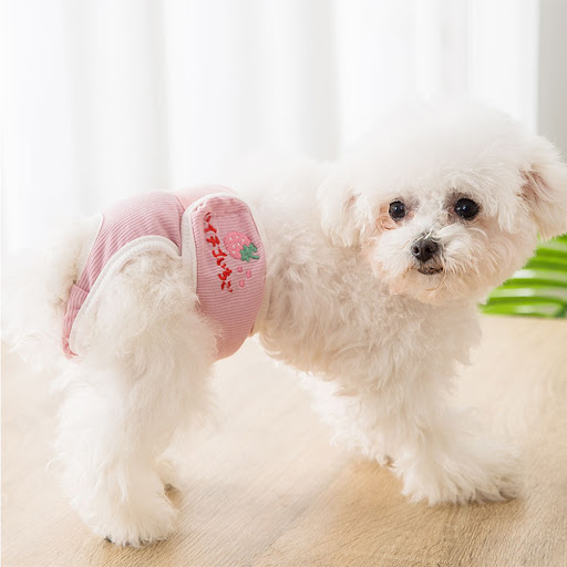 Title 4, Aunt Pants pet menstrual pants. Provides comfor...