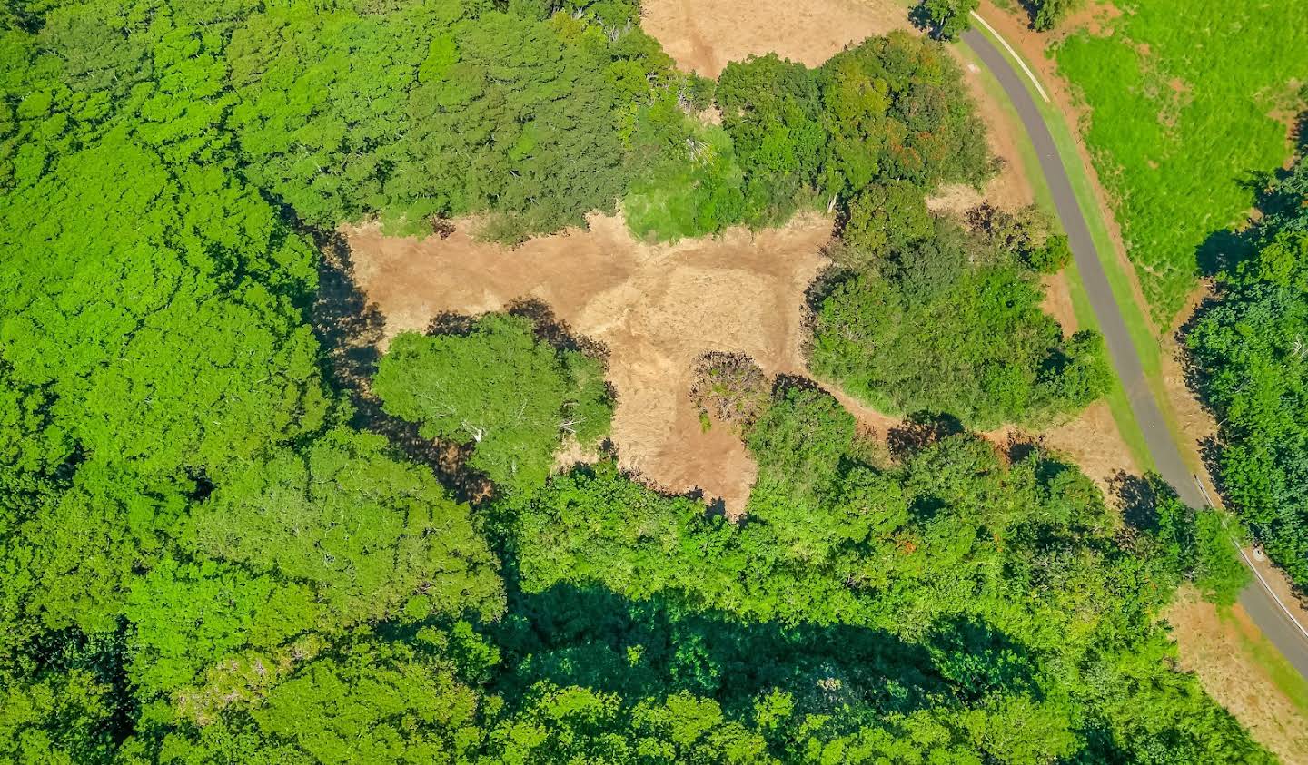 Land Kapaʻa