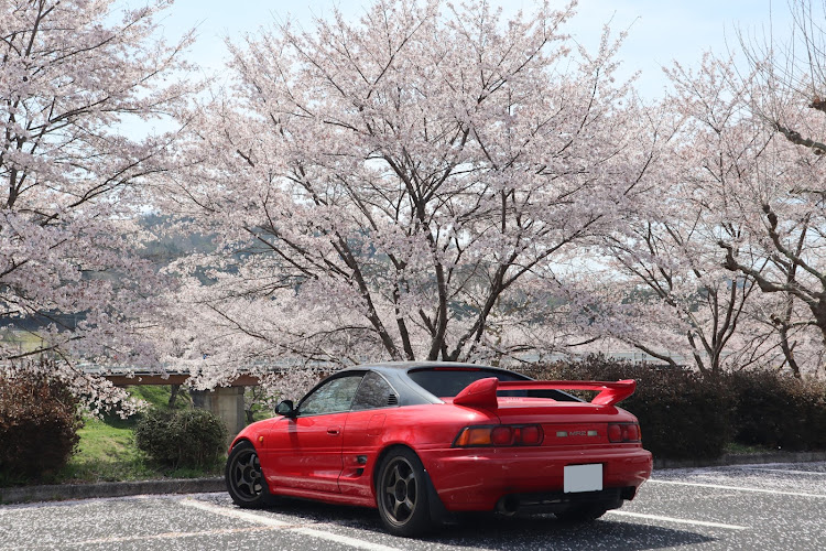 MR2のサクラと愛車・桜・エンジンフードの穴・雨対策・ディストリビューターか？に関するカスタム事例の投稿画像2枚目