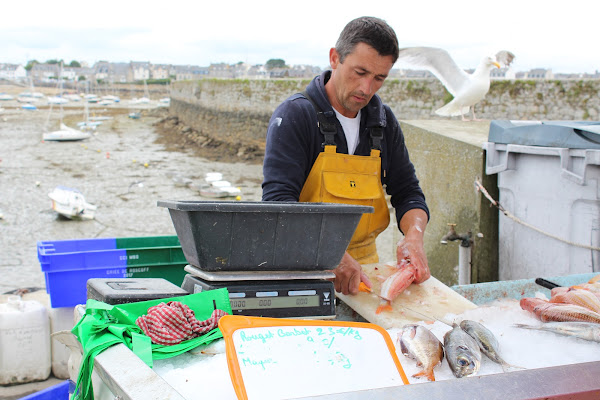 Pesce fresco di Bretagna di patriziabenati