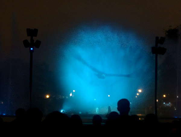 Video of an Eagle Projected onto a Spout of Water