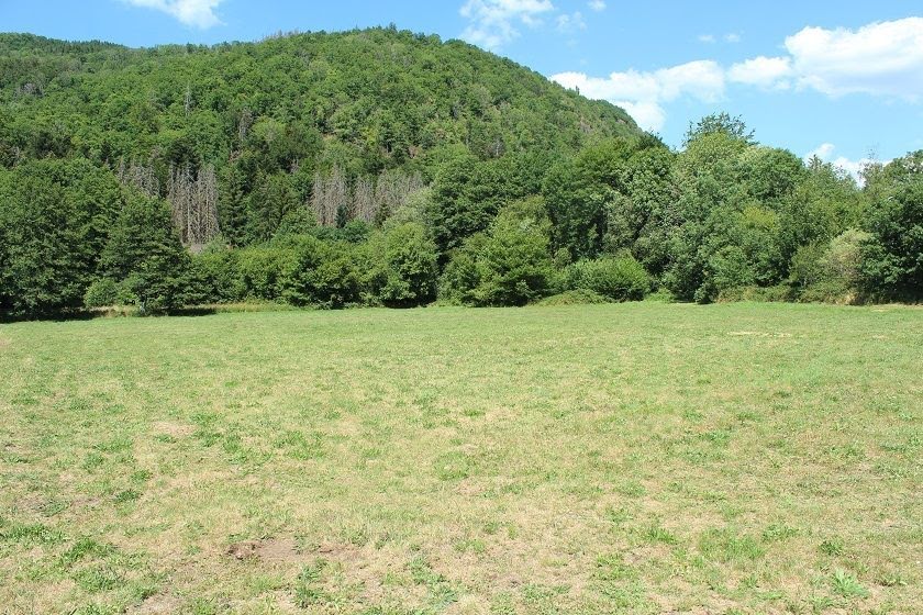 Vente terrain  17089 m² à Saulxures-sur-Moselotte (88290), 405 000 €