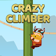 Download Crazy Climber For PC Windows and Mac