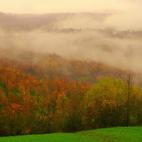 La nebbia agli irti colli di 