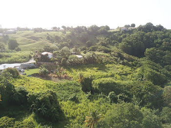 terrain à batir à Le marigot (972)