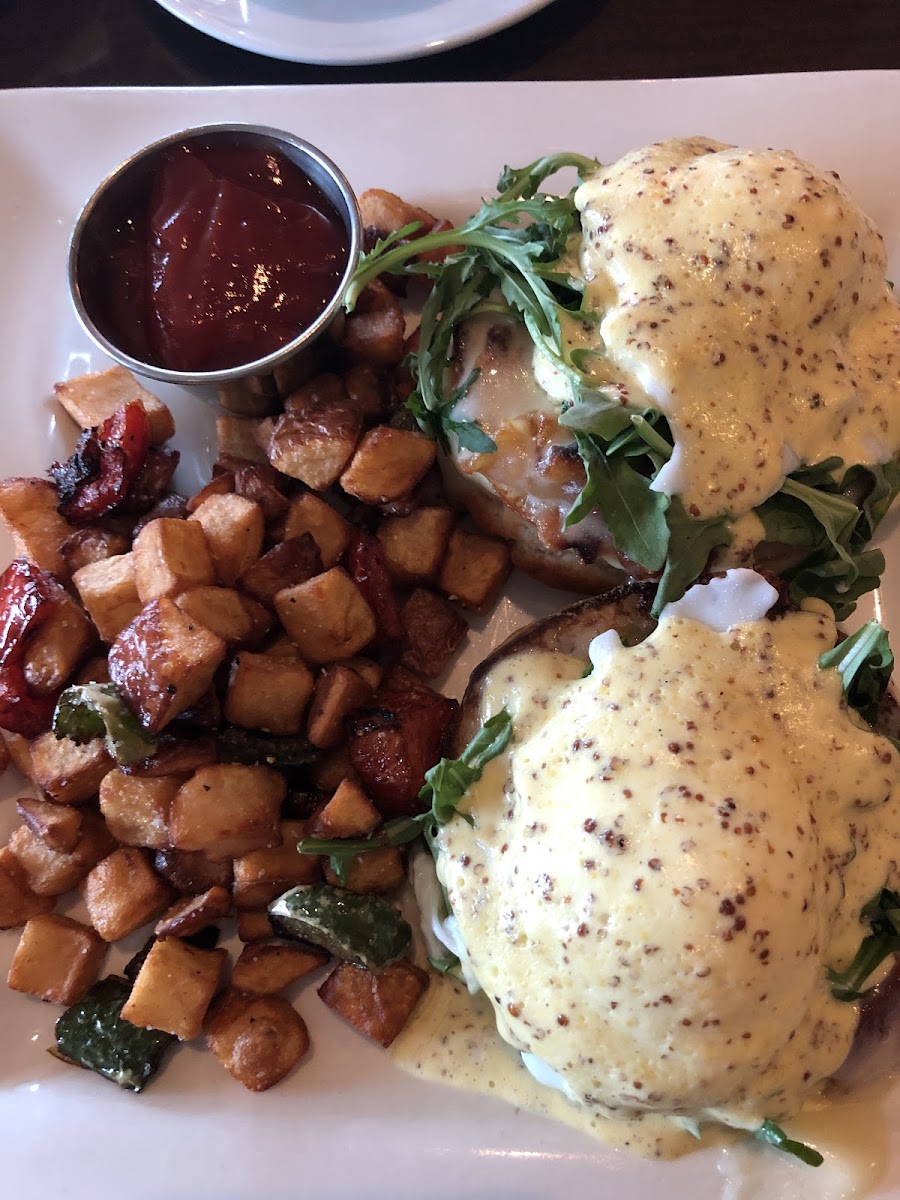 Bacon arugula Benedict