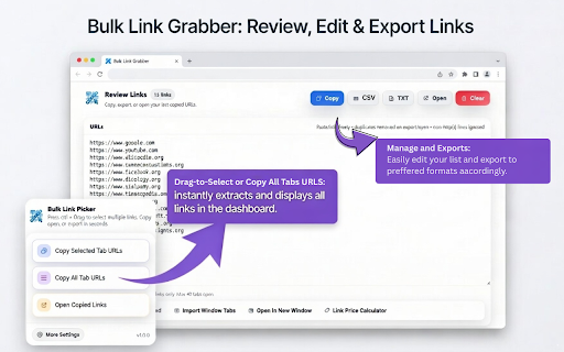 Bulk Link Grabber: Copy, Extract & Open Multiple URLs screenshot 3