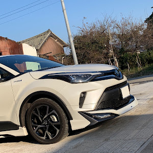 C-HR ZYX11