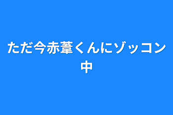 ただ今赤葦くんにゾッコン中