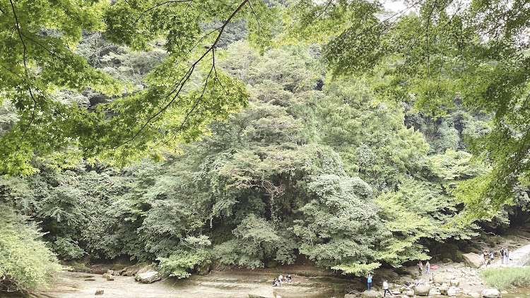 ミニ ハッチバックの養老渓谷・粟又の滝・山里のジェラテリア　山猫・高滝湖・ドライブスポットに関するカスタム事例の投稿画像2枚目