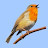 European Birds Songs & Calls icon