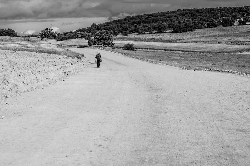 Direzione  ...  Compostela  di Gaetano Vitale