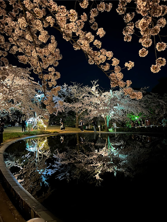 の投稿画像6枚目