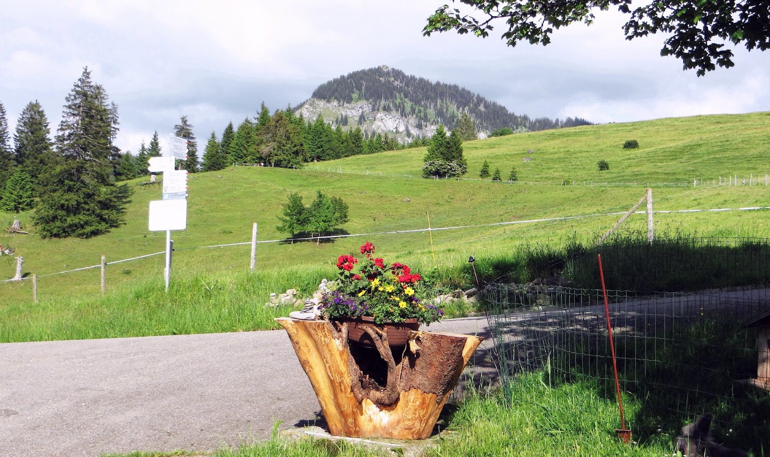 Wandern Sonthofen Altstädter-Hof Sonthofer-Hof Strausberghütte Allgäu primapage