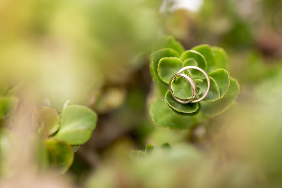 Wedding photographer Luca Sapienza (lucasapienza). Photo of 30 August 2018