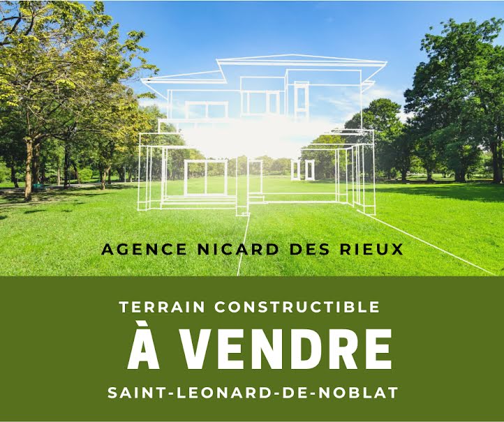 Vente terrain  412 m² à Saint-Léonard-de-Noblat (87400), 12 500 €
