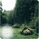 Download Forest relax sounds of nature For PC Windows and Mac 3.1