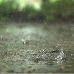 Real Rain Live Wallpaper Apk