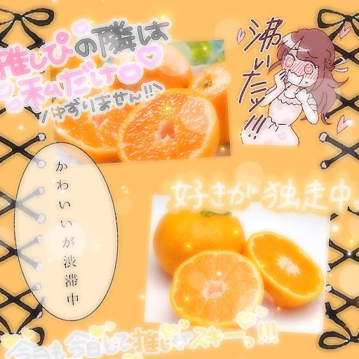 夏みかん🍊@わっしょい