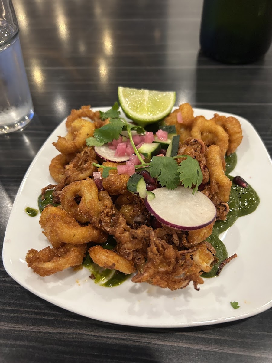 Calamari w/ lime and cilantro sauce. Phenomenal!