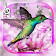 Hummingbirds Sounds Live wallpaper icon