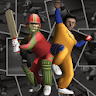 Cricket Evolution Pro icon