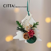 Citta Sáp Thơm Cây Thông Noel Giáng Sinh Khử Mùi Tủ Quần Áo, Xe Hơi ( Ô Tô ),Phòng Ngủ Quà Trang Trí