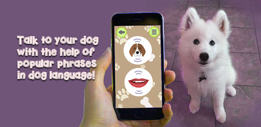 dog language translator app