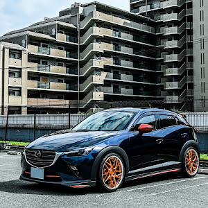 CX-3 DKEFW