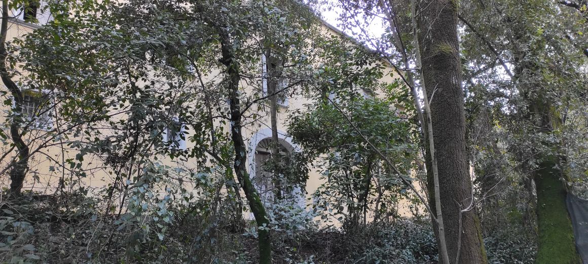 Una casa nel bosco di ilpadrino