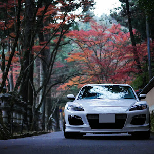 RX-8 SE3P