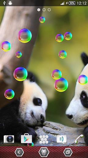 Panda Live Wallpaper