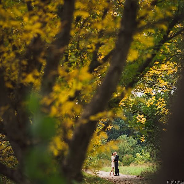 Bröllopsfotograf Anna Gorbenko (annagorbenko). Foto av 16 september 2013