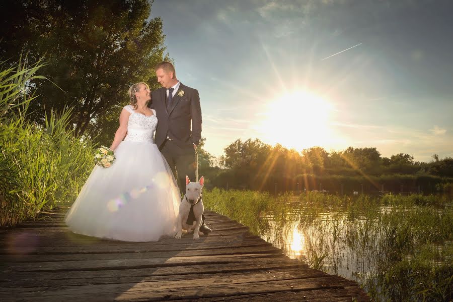 Wedding photographer Hajdú László (fotohajdu). Photo of 1 September 2016