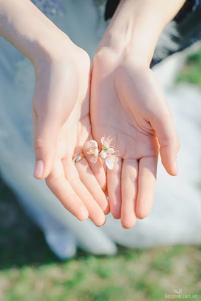 Hochzeitsfotograf Nikolay Karpenko (mamontyk). Foto vom 26. April 2018