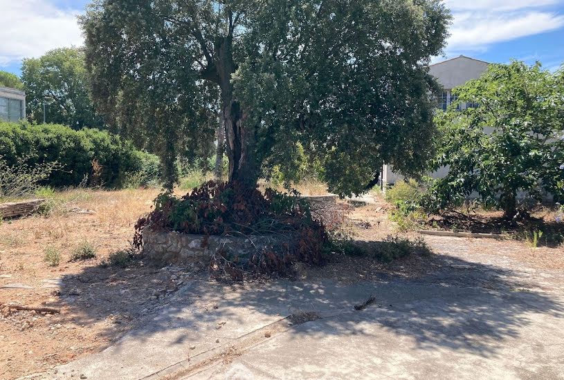  Vente Terrain à bâtir - à Vendargues (34740) 