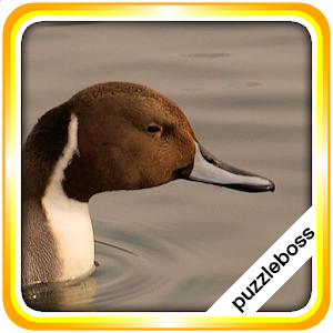 Jigsaw Puzzles: Lake Birds 1.8.9 Icon