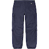 cargo pant fw21