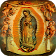 Download Virgen De Guadalupe Imagenes Hermosas For PC Windows and Mac 1.1